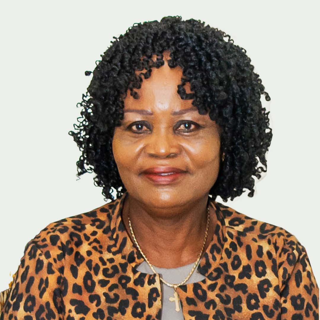 Hon. Helen Adwoa Ntoso